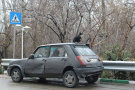 Tehran